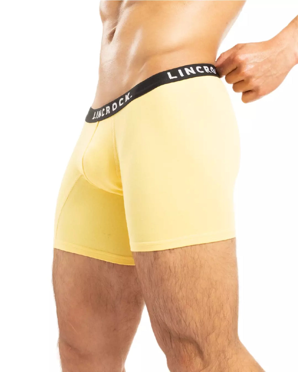 SALE Boxer Amarillo MS